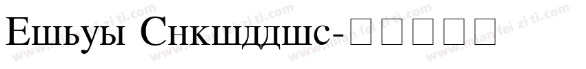 Times Cyrillic字体转换